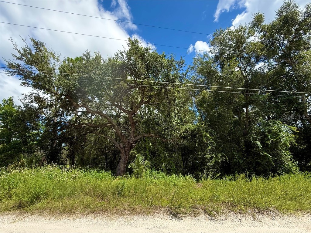 LOT 1 Palm Drive Eustis FL 32736 G5101983 image12