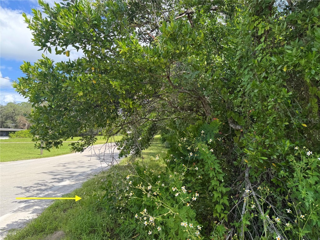 LOT 1 Palm Drive Eustis FL 32736 G5101983 image13