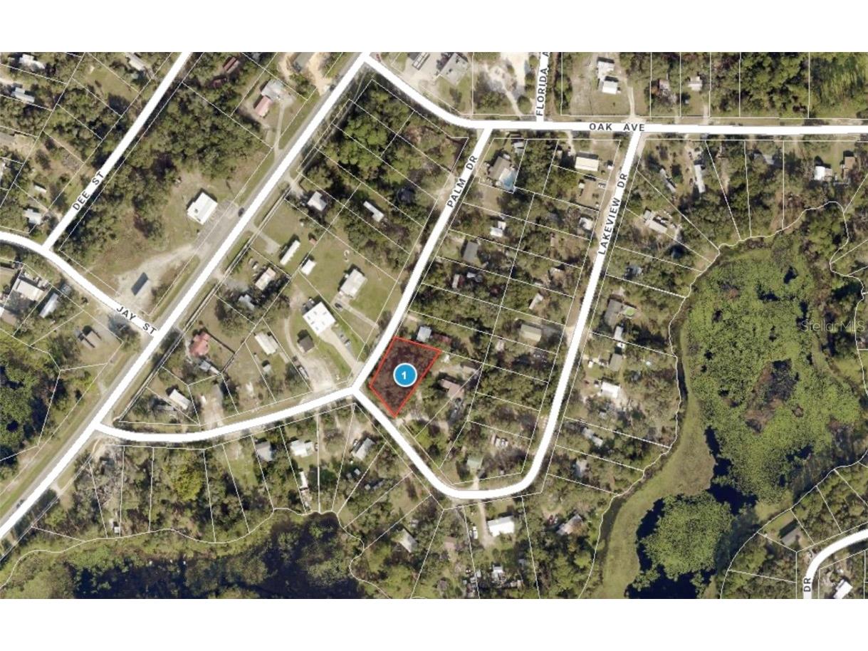 LOT 1 Palm Drive Eustis FL 32736 G5101983 image16