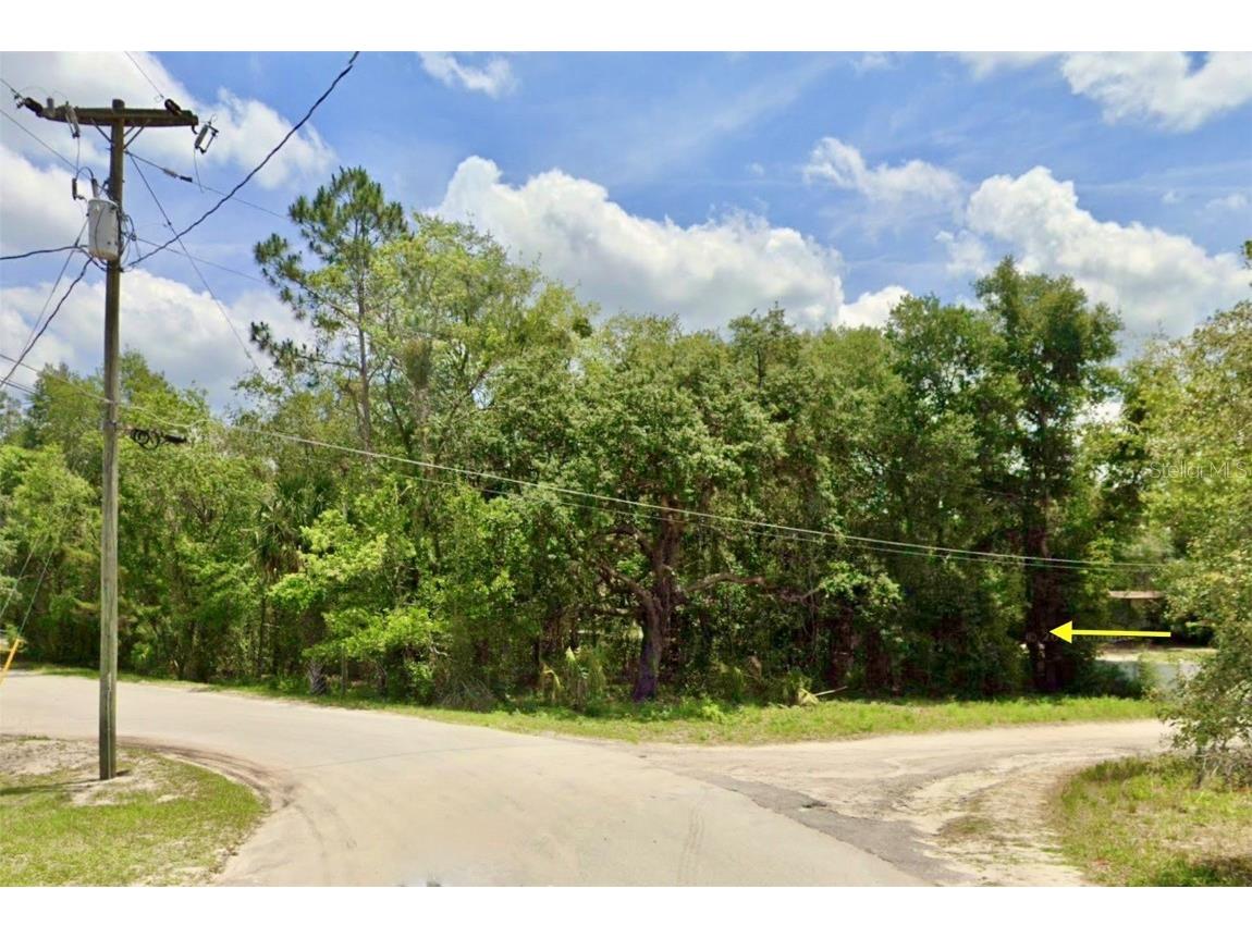 LOT 1 Palm Drive Eustis FL 32736 G5101983 image2