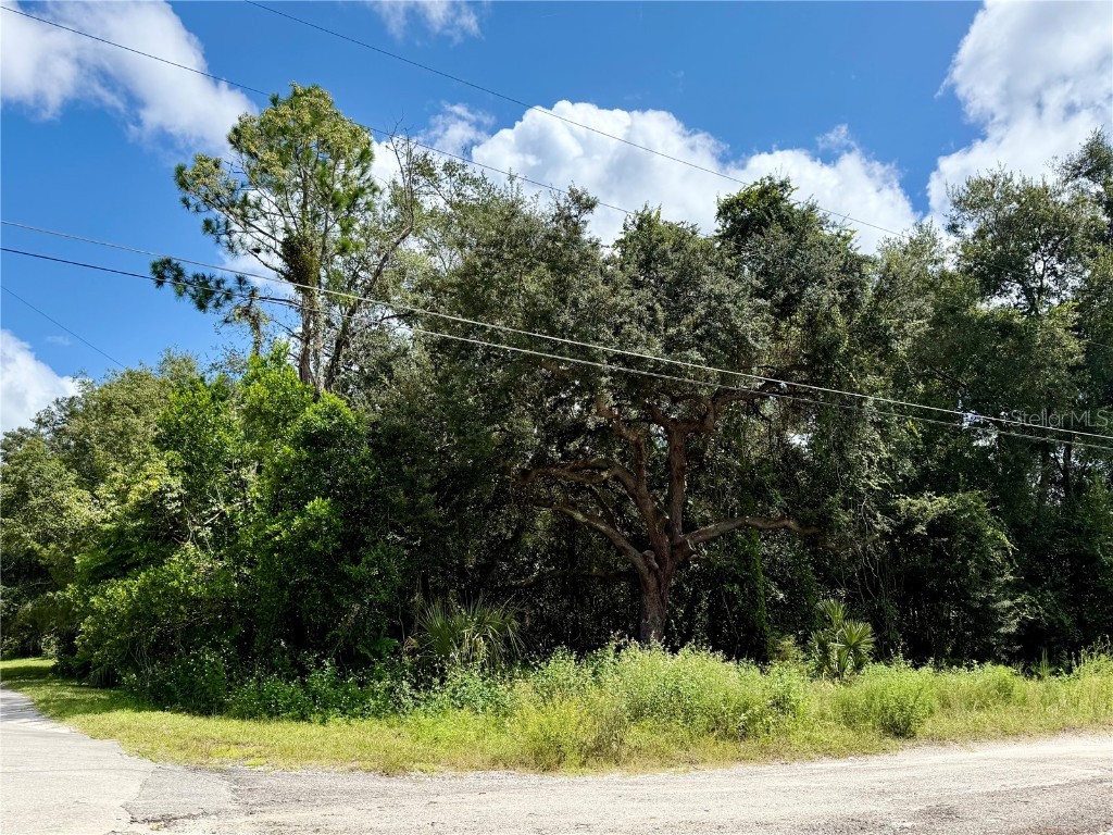 LOT 1 Palm Drive Eustis FL 32736 G5101983 image3