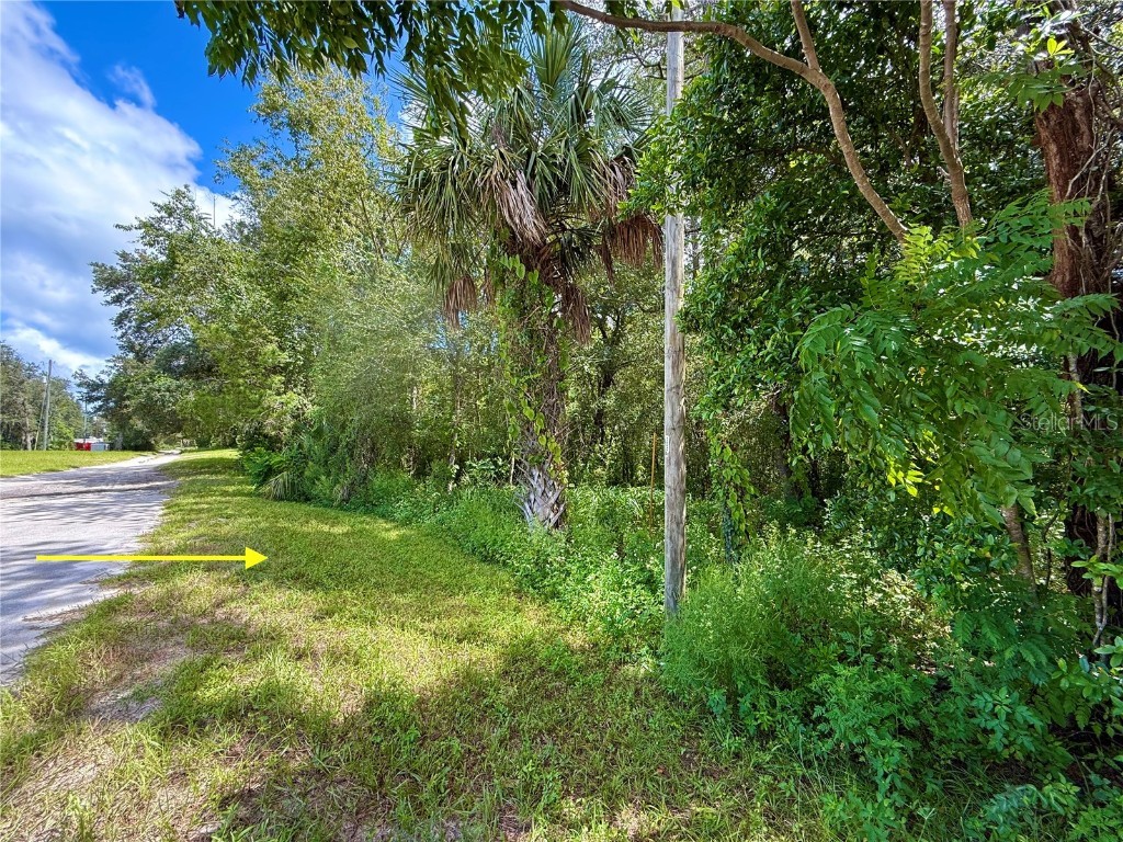 LOT 1 Palm Drive Eustis FL 32736 G5101983 image5