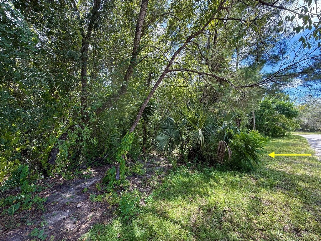 LOT 1 Palm Drive Eustis FL 32736 G5101983 image6