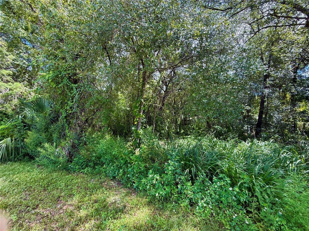 LOT 1 Palm Drive Eustis FL 32736 G5101983 image8