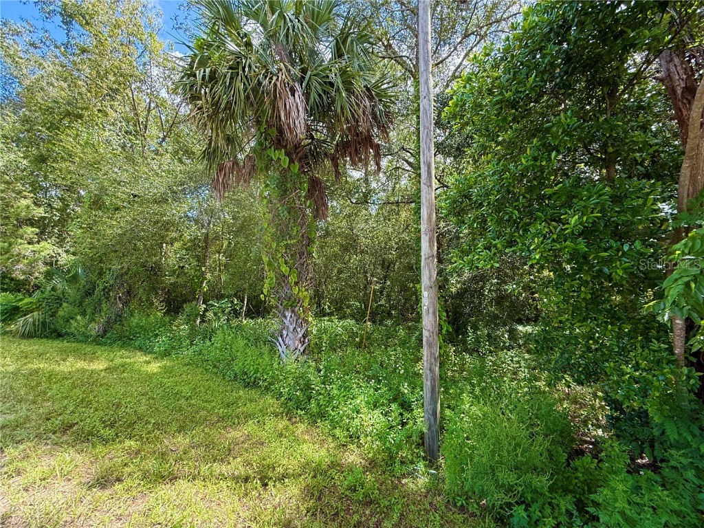 LOT 1 Palm Drive Eustis FL 32736 G5101983 image9