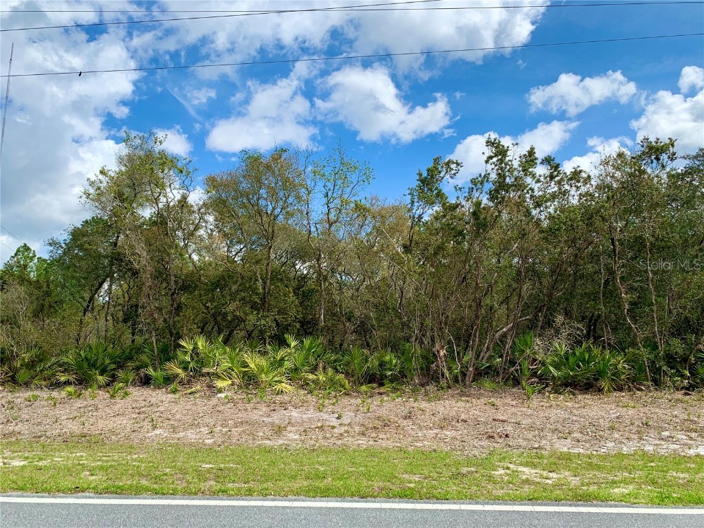 LOT 1 Royal Trails Road Eustis FL 32736 - LAKE NORRIS G5079423 image1