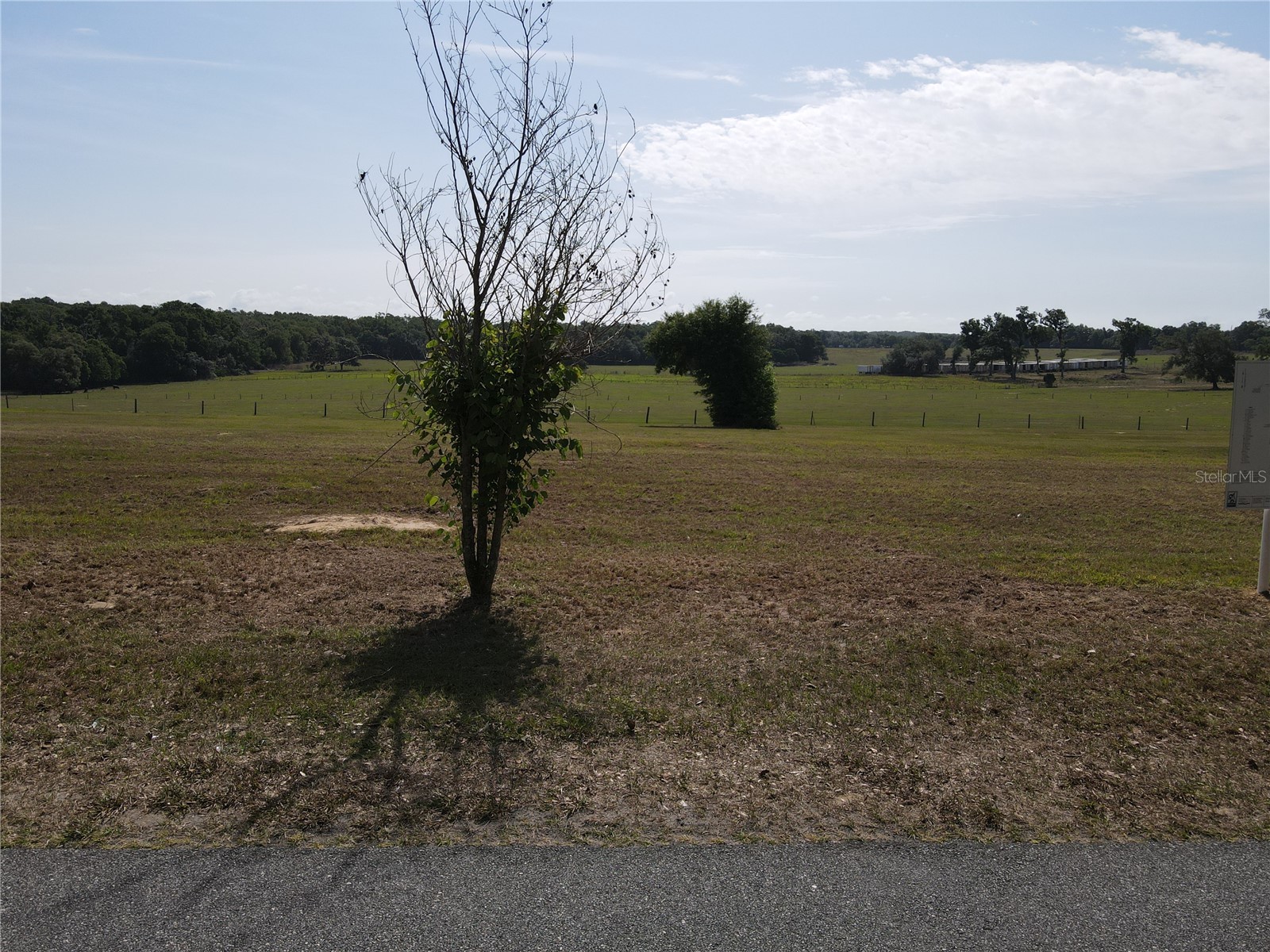 LOT 1 Smith Road Dade City FL 33525 TB8503578 image23