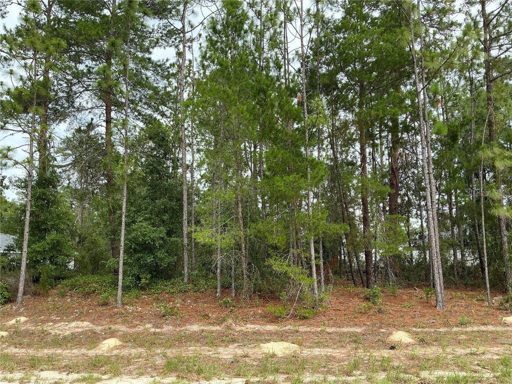 LOT 1 SW 64th Lane Ocala FL 34473 OM683675 image1