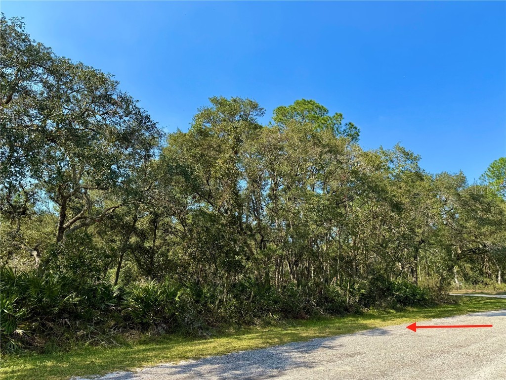 LOT 10 E Cashew Court Eustis FL 32736 - LAKE NORRIS G5089598 image1