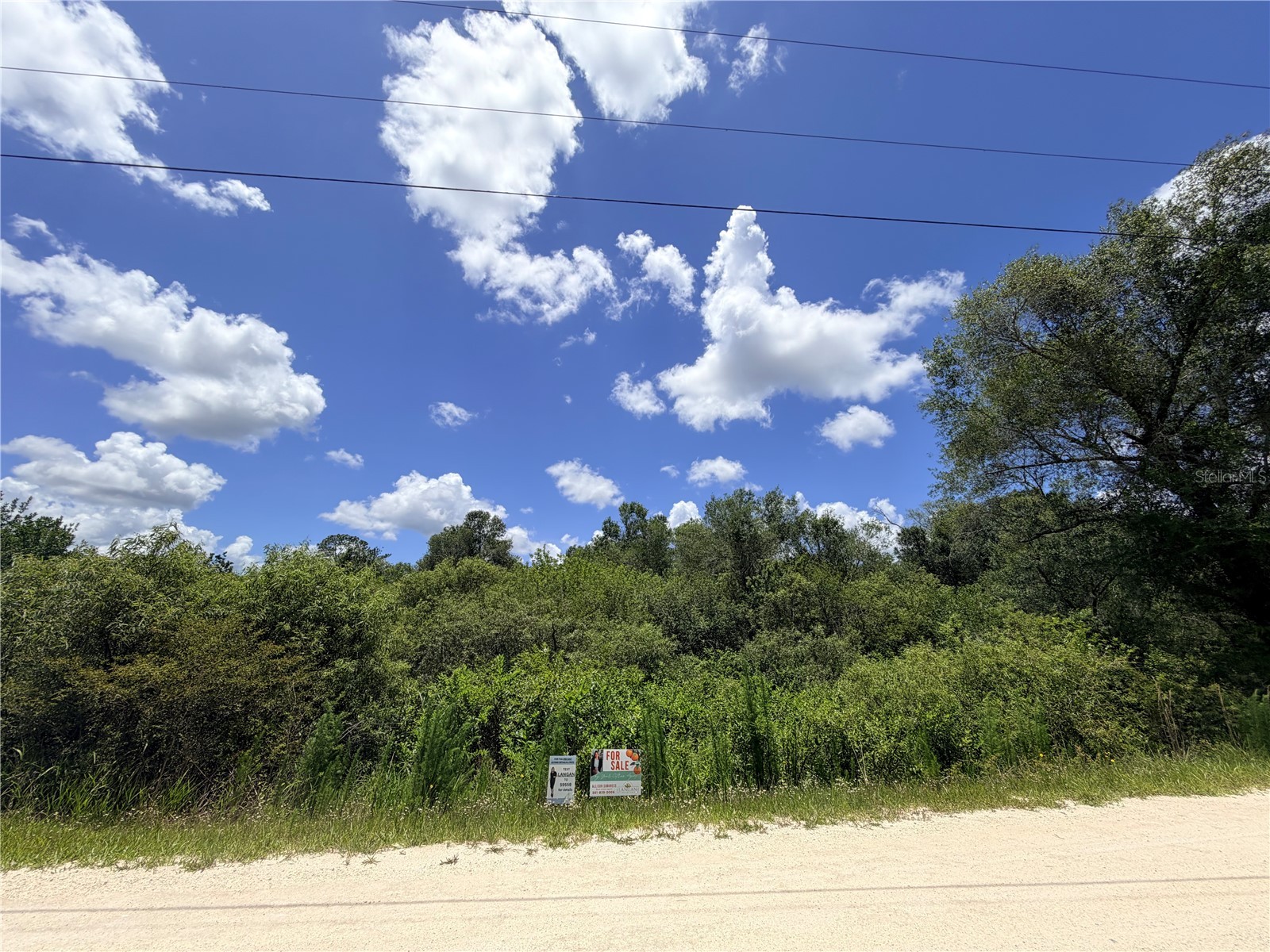 LOT 10 Hardstone Drive Webster FL 33597 OM726660 image1
