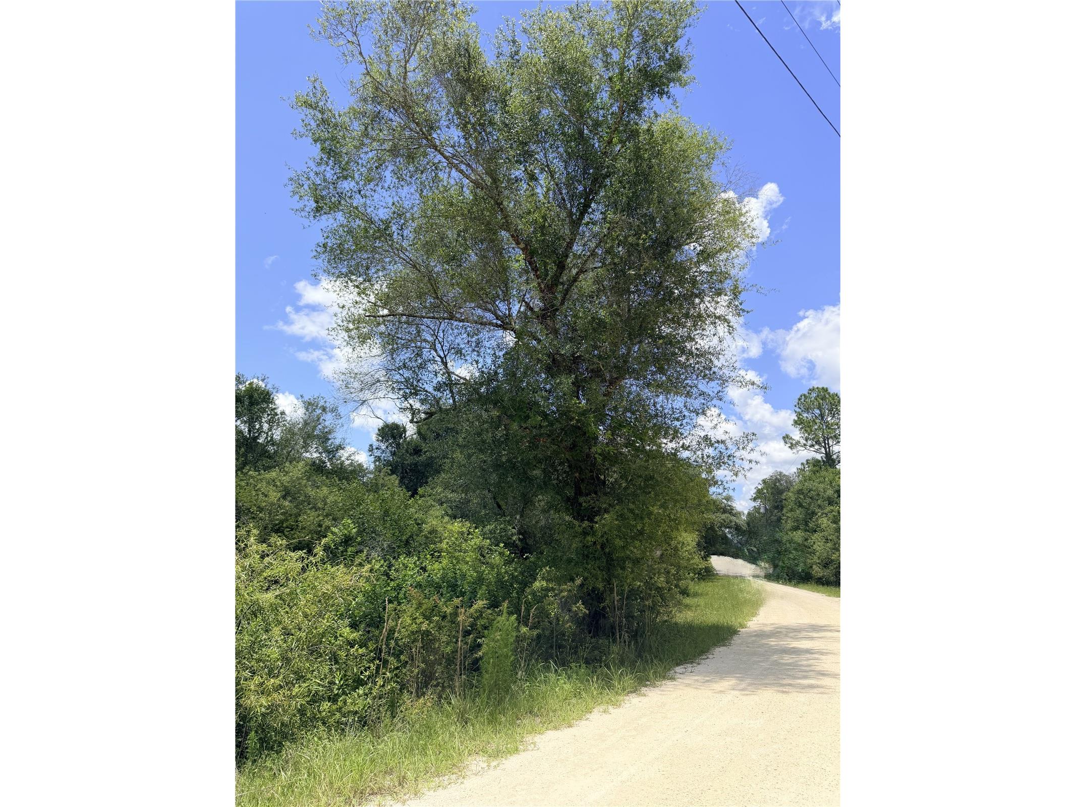 LOT 10 Hardstone Drive Webster FL 33597 OM726660 image3