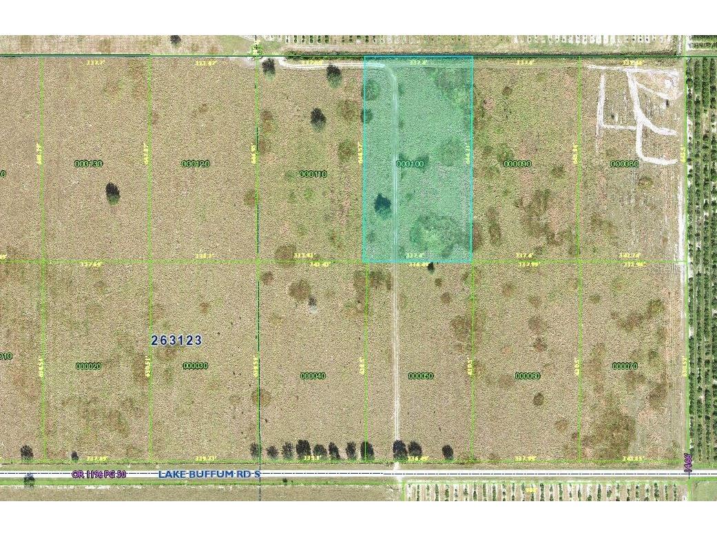 LOT 10 Lake Buffum Road S Fort Meade FL 33841 B4901637 image4