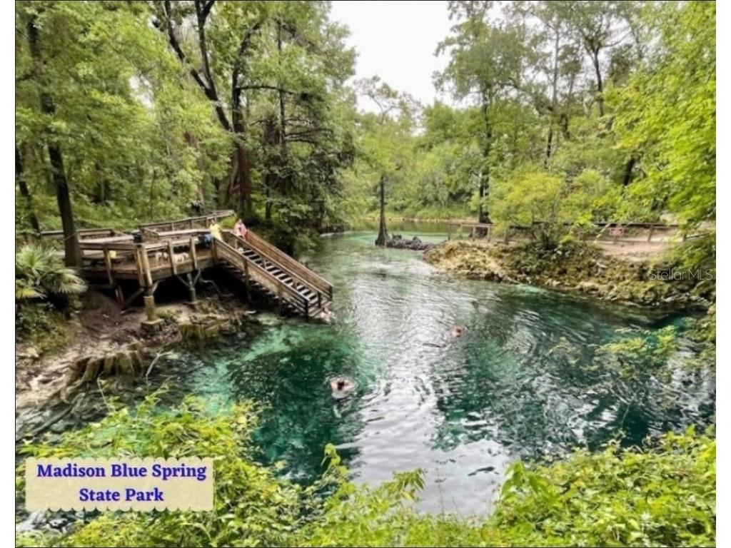 LOT 10 SE Benchmark Drive Madison FL 32340 OM704457 image5