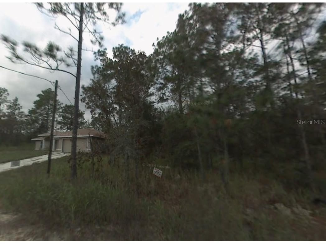 LOT 10 Sw 41st Street Rd Ocala FL 34481 A4666417 image1