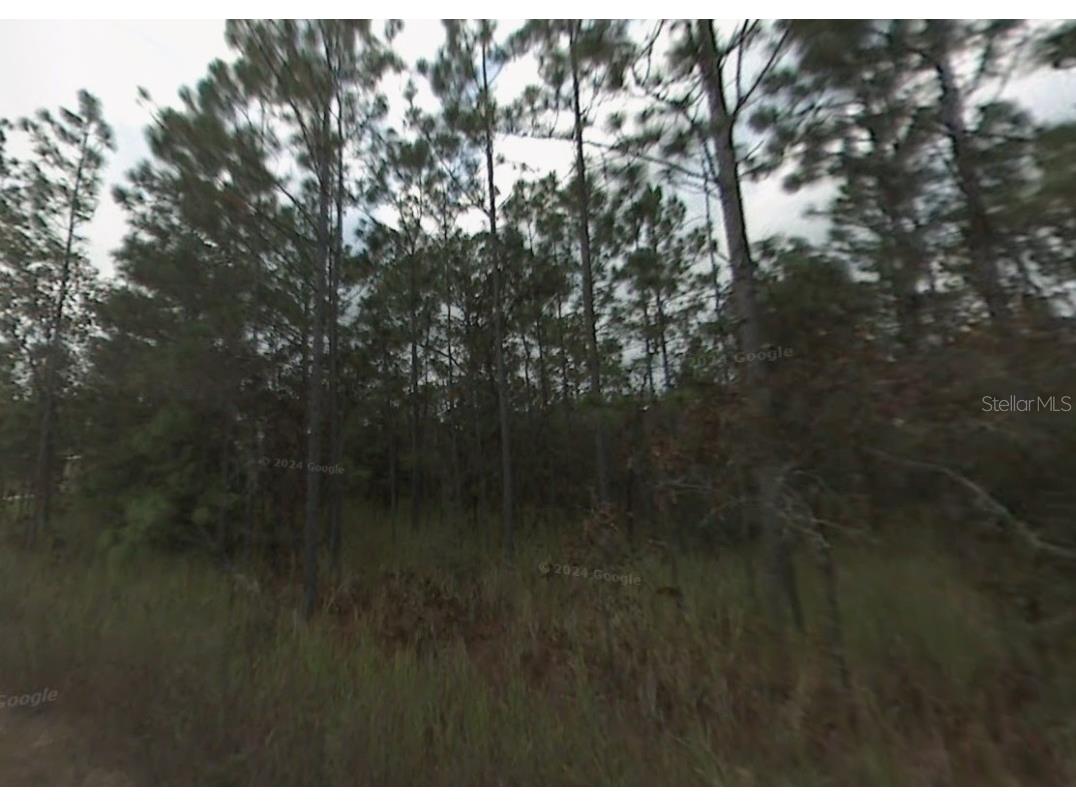 LOT 10 Sw 41st Street Rd Ocala FL 34481 A4666417 image3
