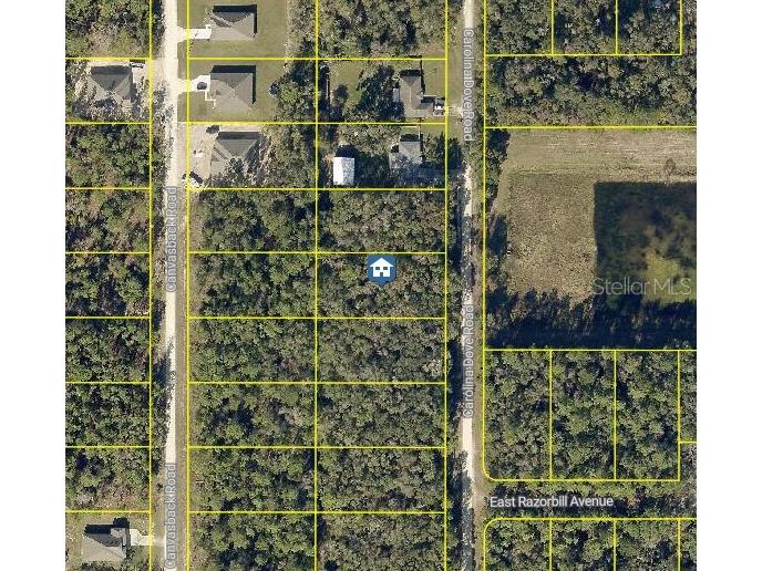 LOT 1021 Carolina Dove Road Weeki Wachee FL 34614 W7880277 image1