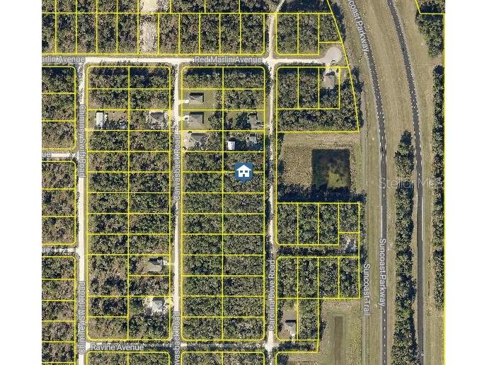 LOT 1021 Carolina Dove Road Weeki Wachee FL 34614 W7880277 image2