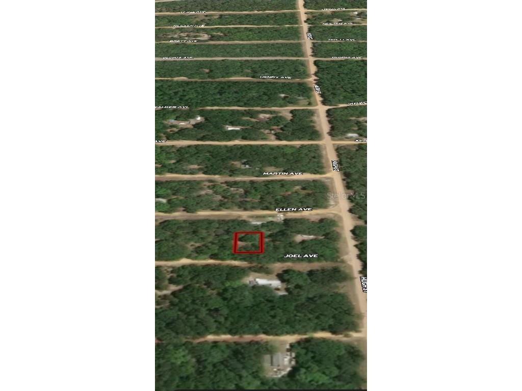 LOT 11 Joel Avenue Interlachen FL 32148 OM710439 image3