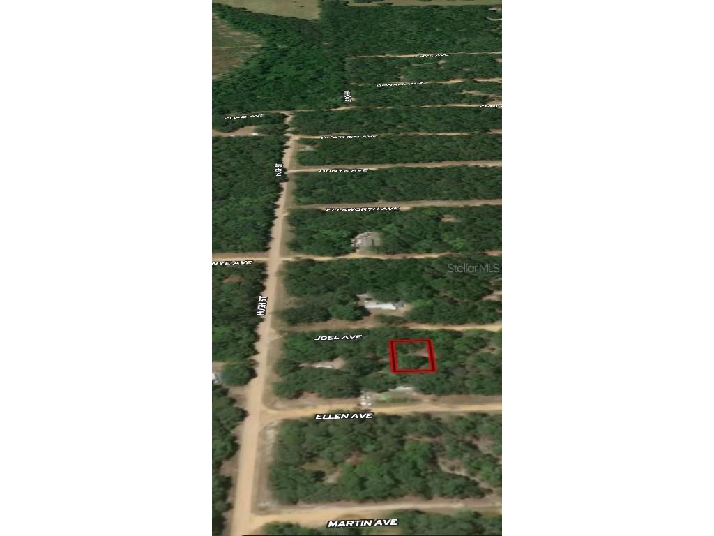 LOT 11 Joel Avenue Interlachen FL 32148 OM710439 image4