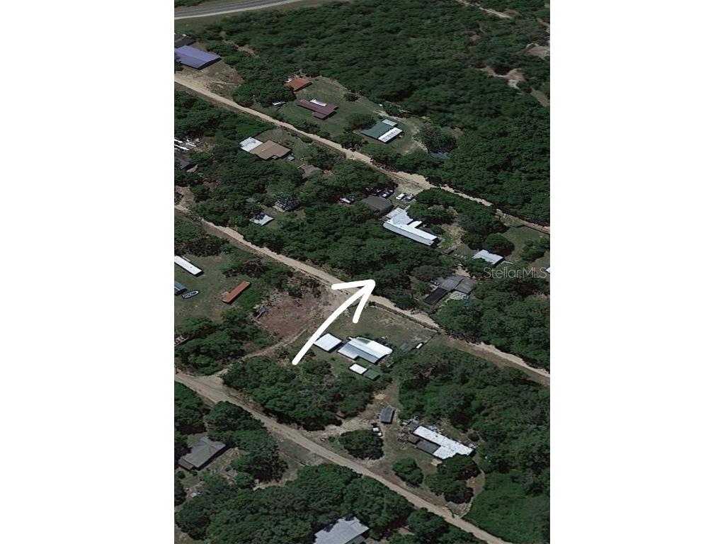 LOT 11 NE 203rd Street Fort Mc Coy FL 32134 OM690227 image1