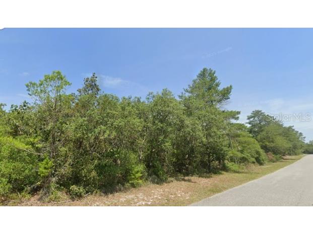 LOT 11 Persimmon Street Eustis FL 32736 O6368237 image1
