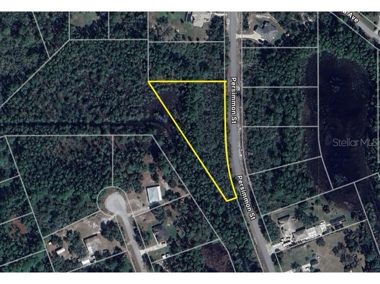 LOT 11 Persimmon Street Eustis FL 32736 O6368237 image2