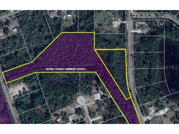 LOT 11 Persimmon Street Eustis FL 32736 O6368237 image3