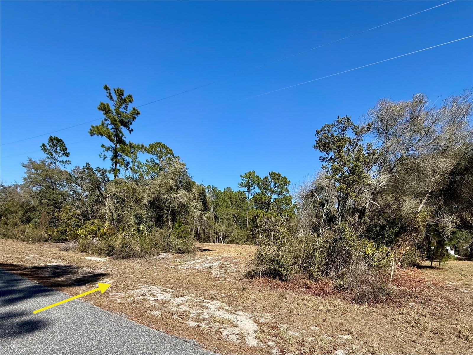 LOT 11 Poinciana Street Eustis FL 32736 - LAKE NORRIS G5108719 image1