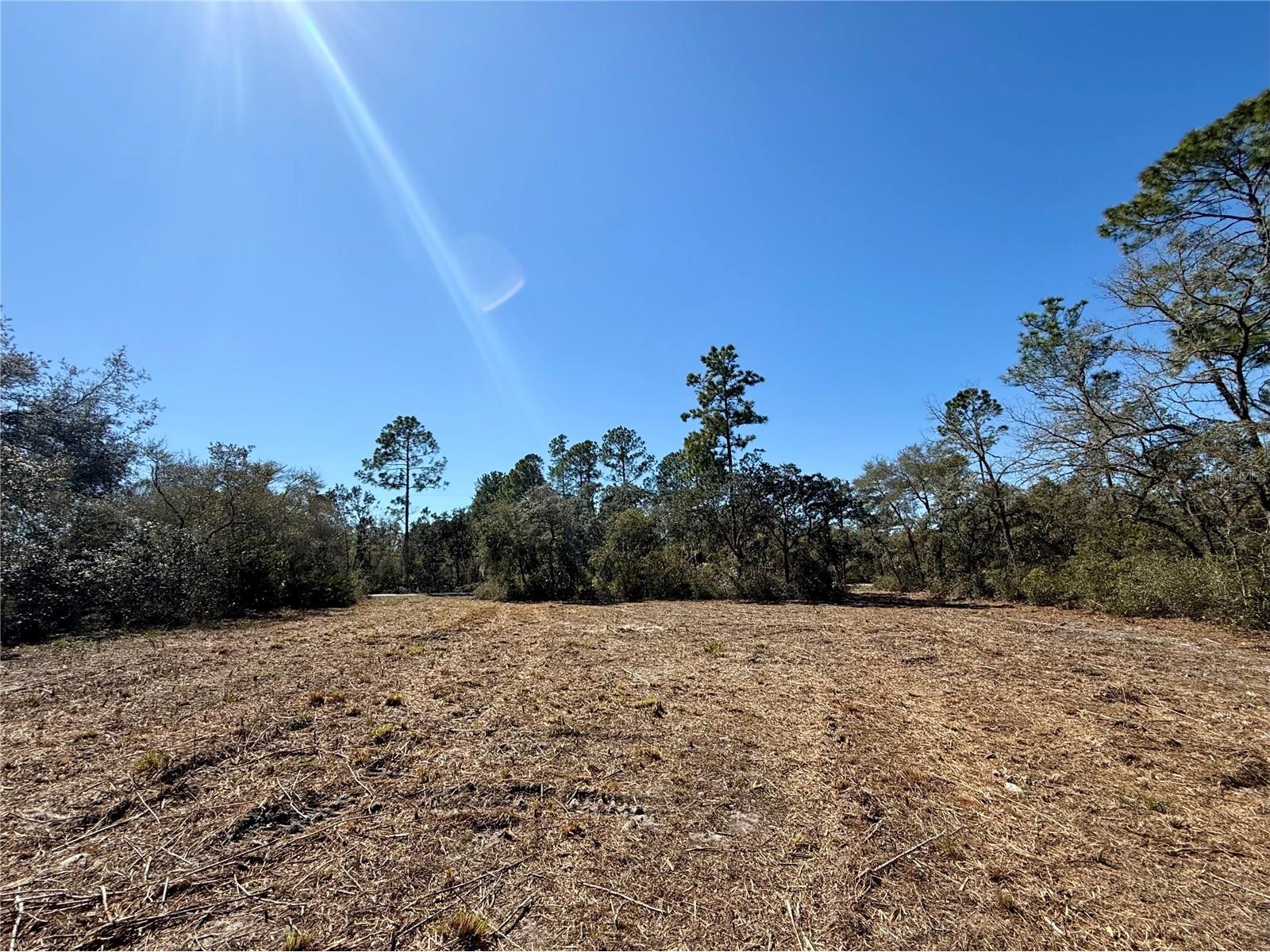LOT 11 Poinciana Street Eustis FL 32736 - LAKE NORRIS G5108719 image14