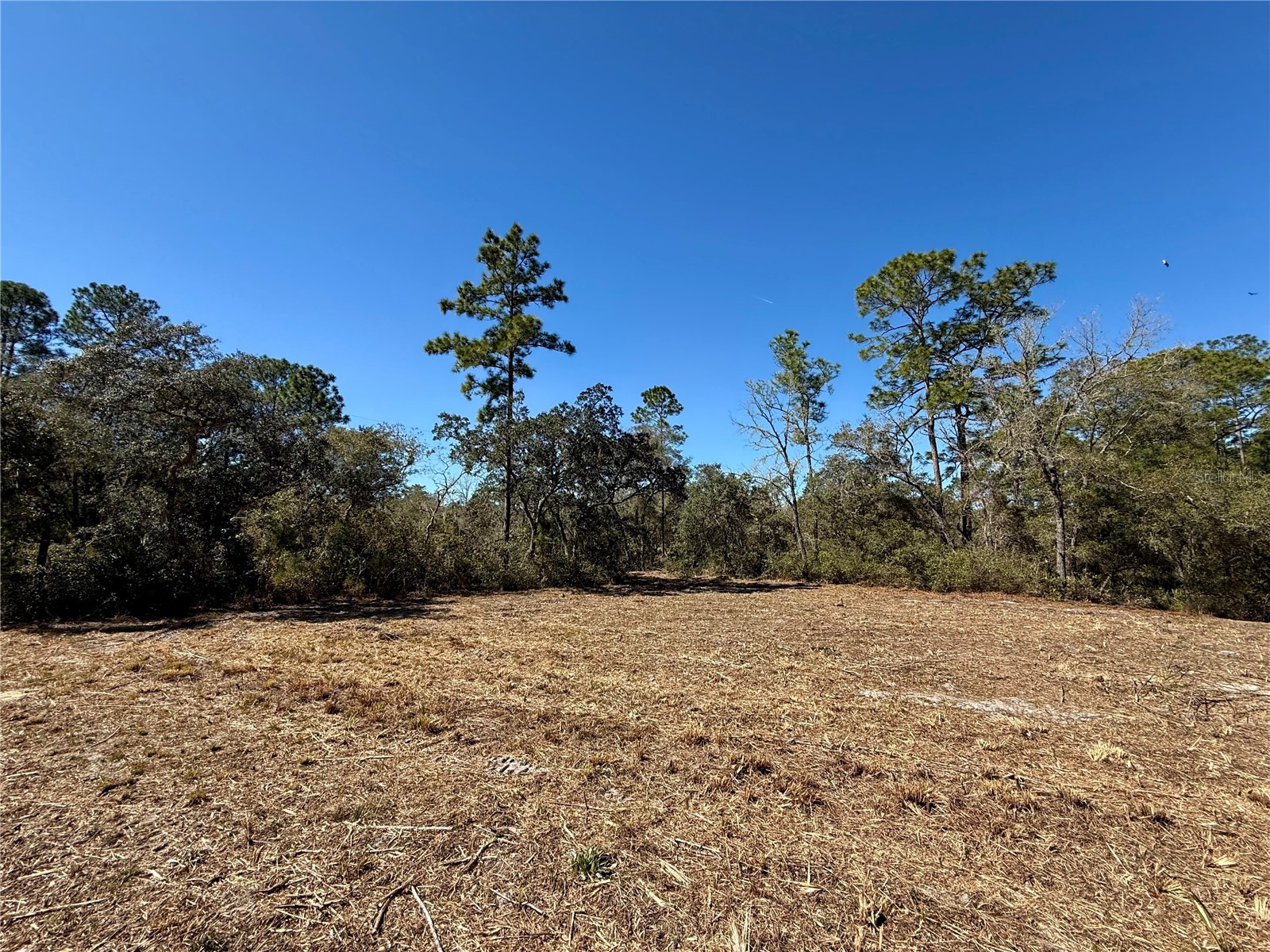 LOT 11 Poinciana Street Eustis FL 32736 - LAKE NORRIS G5108719 image15