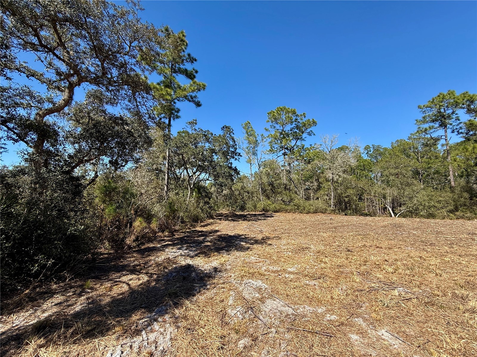 LOT 11 Poinciana Street Eustis FL 32736 - LAKE NORRIS G5108719 image16