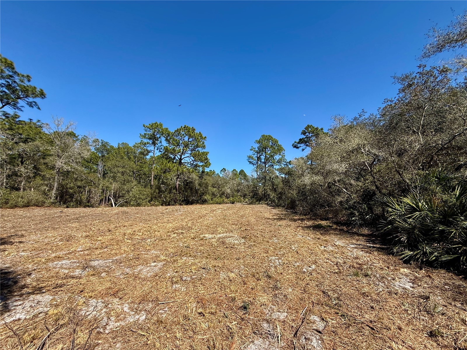 LOT 11 Poinciana Street Eustis FL 32736 - LAKE NORRIS G5108719 image17