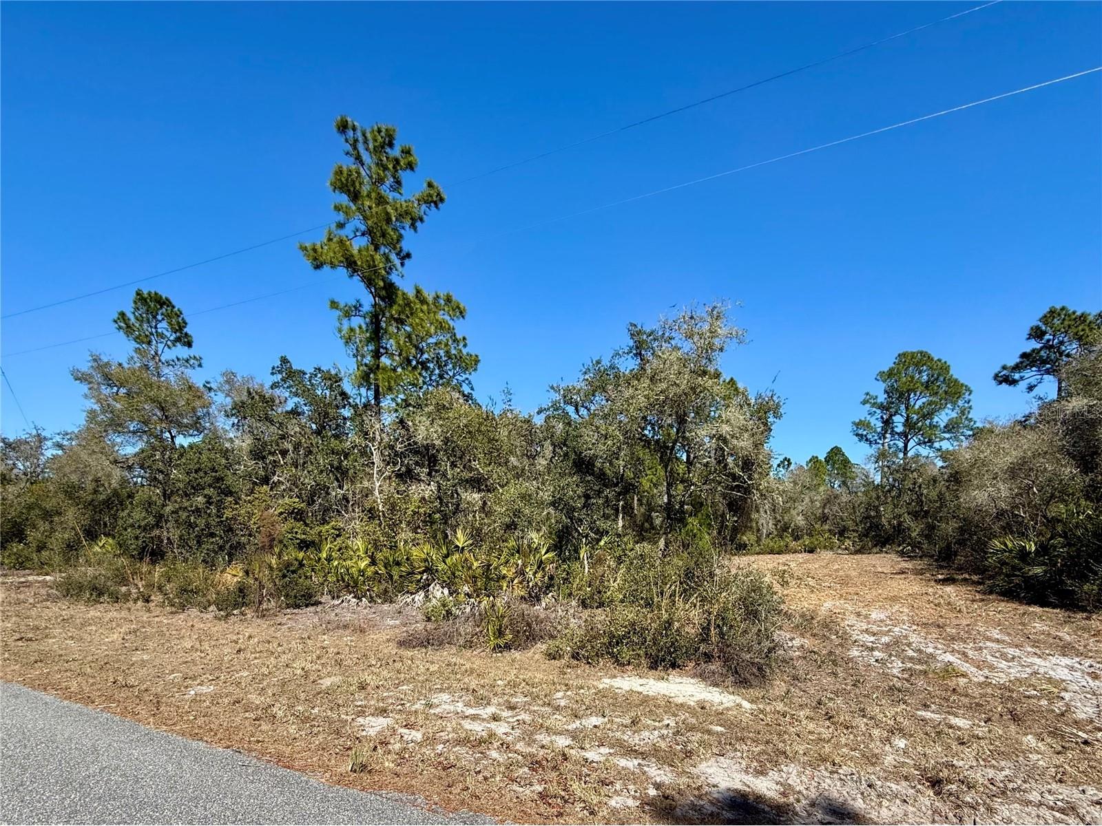 LOT 11 Poinciana Street Eustis FL 32736 - LAKE NORRIS G5108719 image18