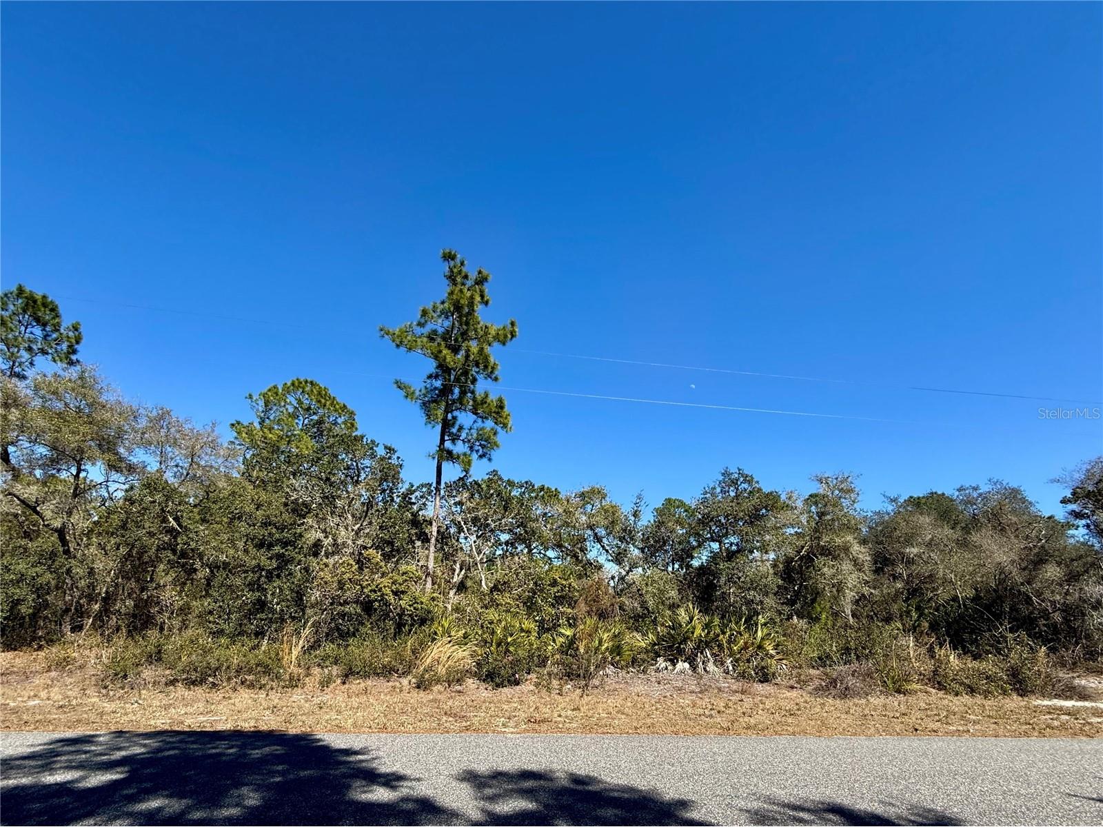 LOT 11 Poinciana Street Eustis FL 32736 - LAKE NORRIS G5108719 image19