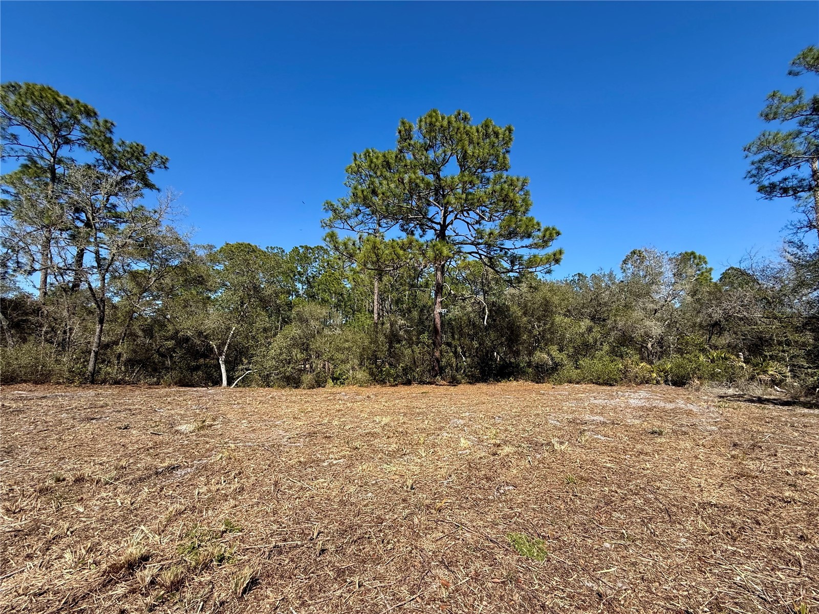 LOT 11 Poinciana Street Eustis FL 32736 - LAKE NORRIS G5108719 image2