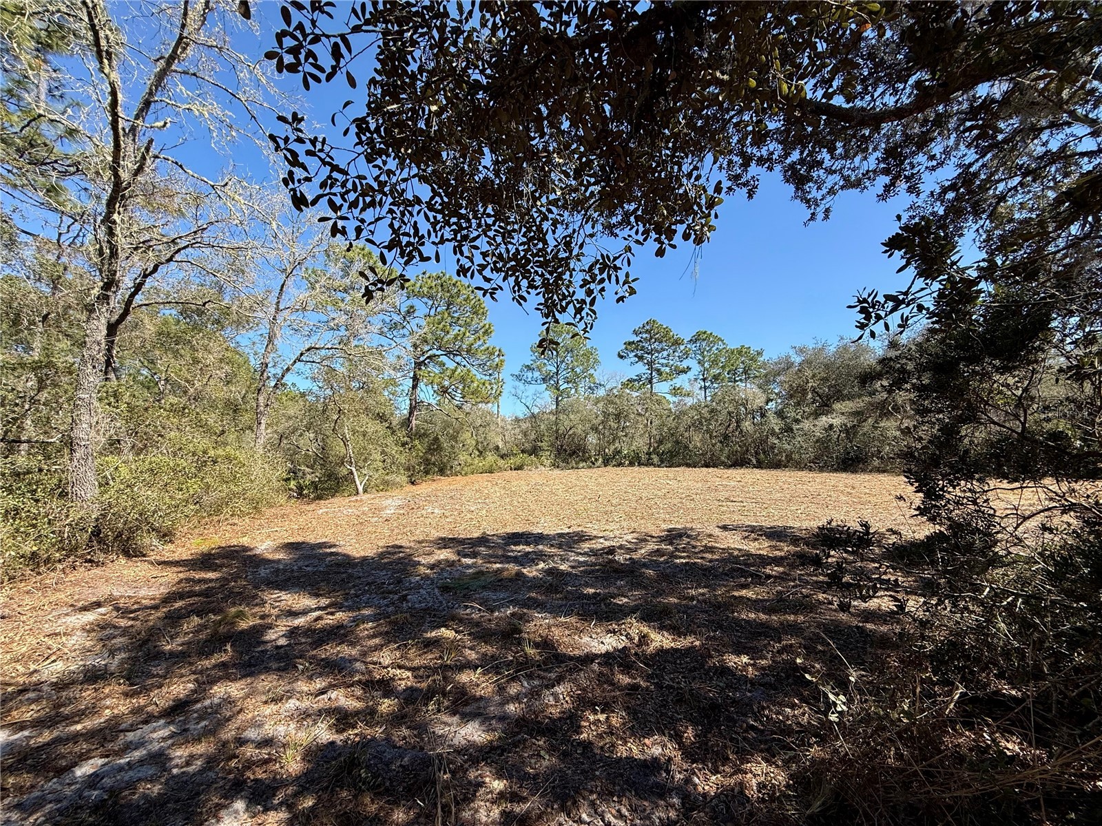 LOT 11 Poinciana Street Eustis FL 32736 - LAKE NORRIS G5108719 image20