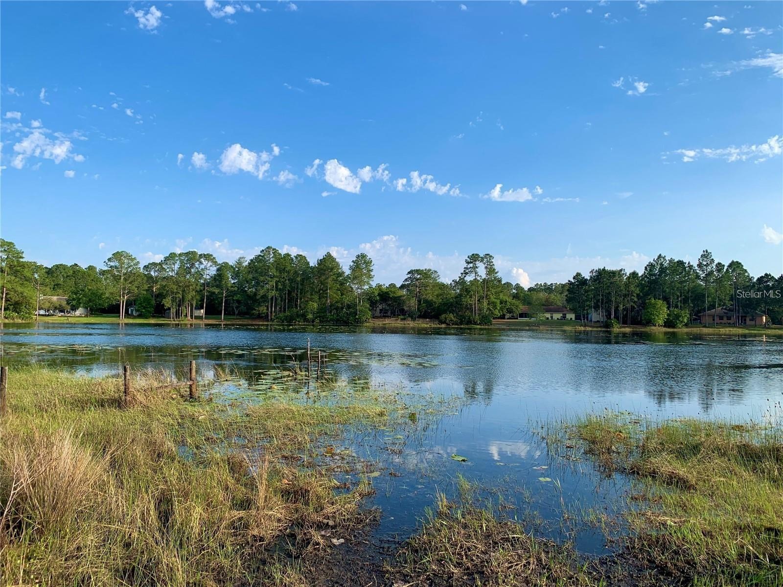 LOT 11 Poinciana Street Eustis FL 32736 - LAKE NORRIS G5108719 image28