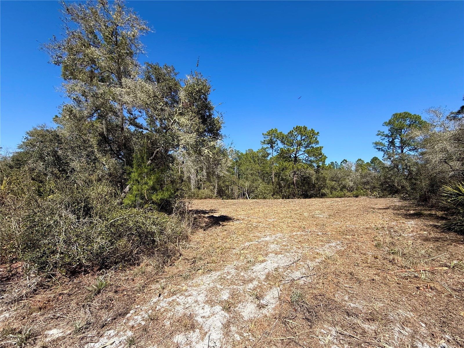 LOT 11 Poinciana Street Eustis FL 32736 - LAKE NORRIS G5108719 image3