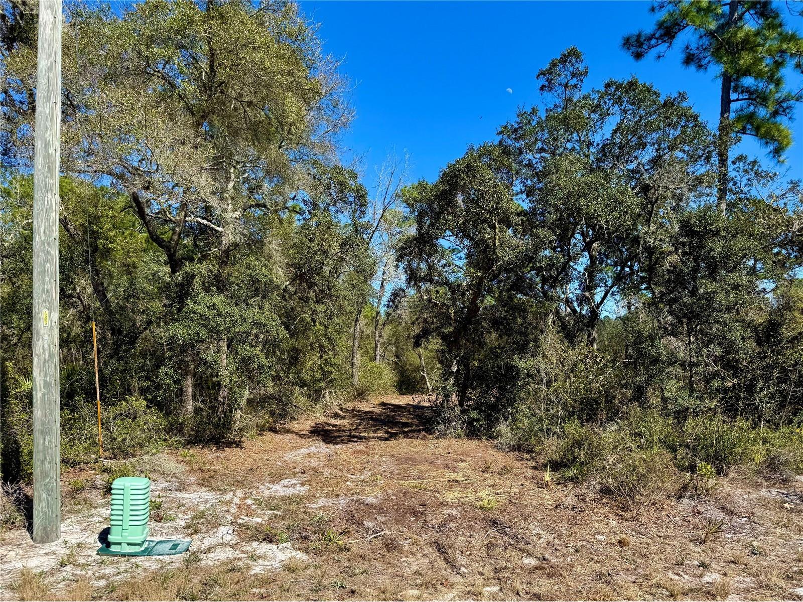 LOT 11 Poinciana Street Eustis FL 32736 - LAKE NORRIS G5108719 image4