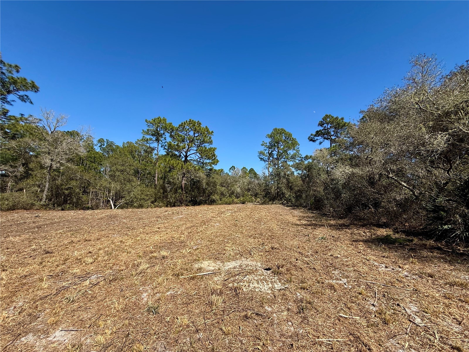 LOT 11 Poinciana Street Eustis FL 32736 - LAKE NORRIS G5108719 image5