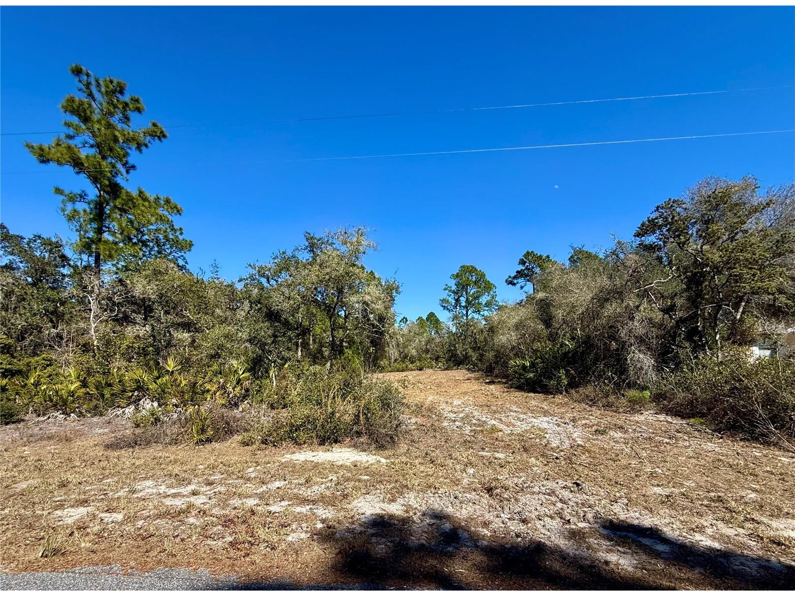 LOT 11 Poinciana Street Eustis FL 32736 - LAKE NORRIS G5108719 image6