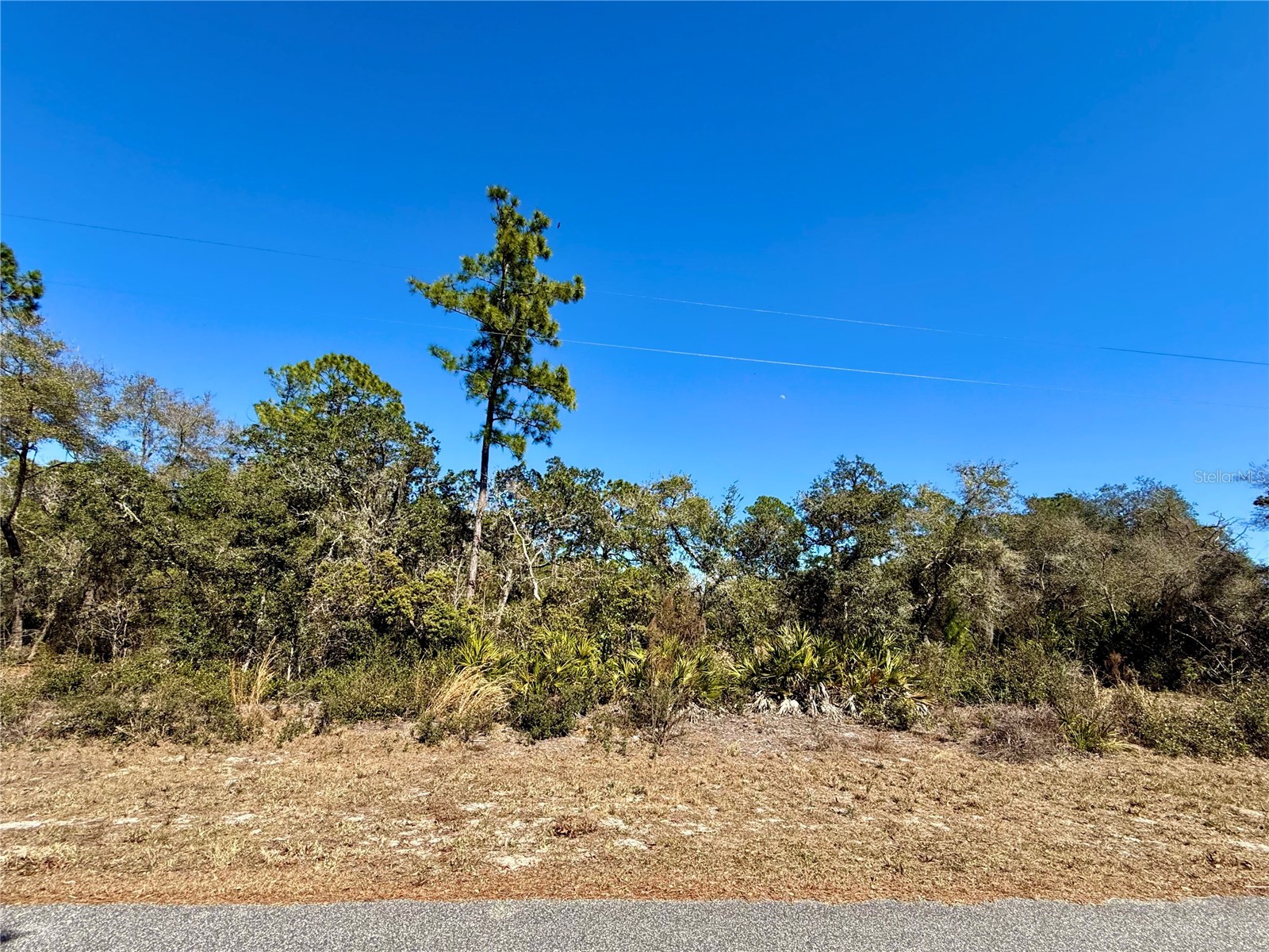 LOT 11 Poinciana Street Eustis FL 32736 - LAKE NORRIS G5108719 image7