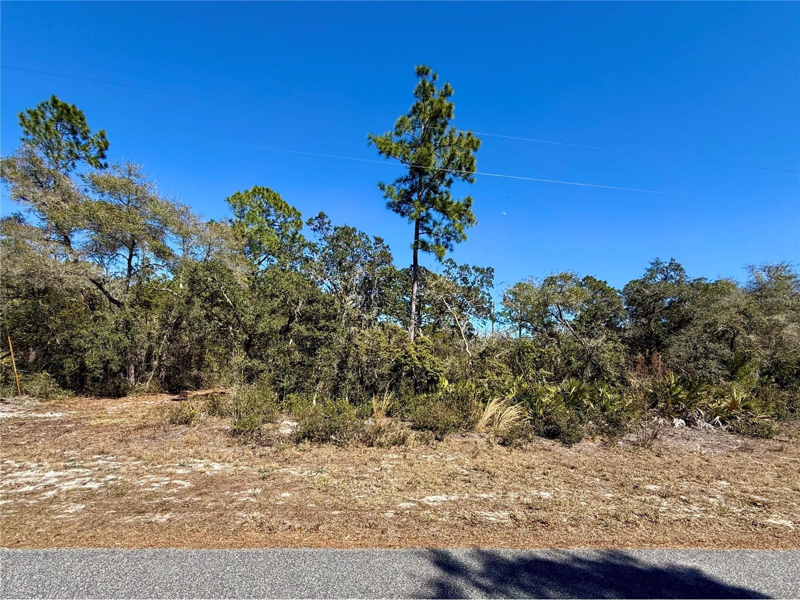 LOT 11 Poinciana Street Eustis FL 32736 - LAKE NORRIS G5108719 image8