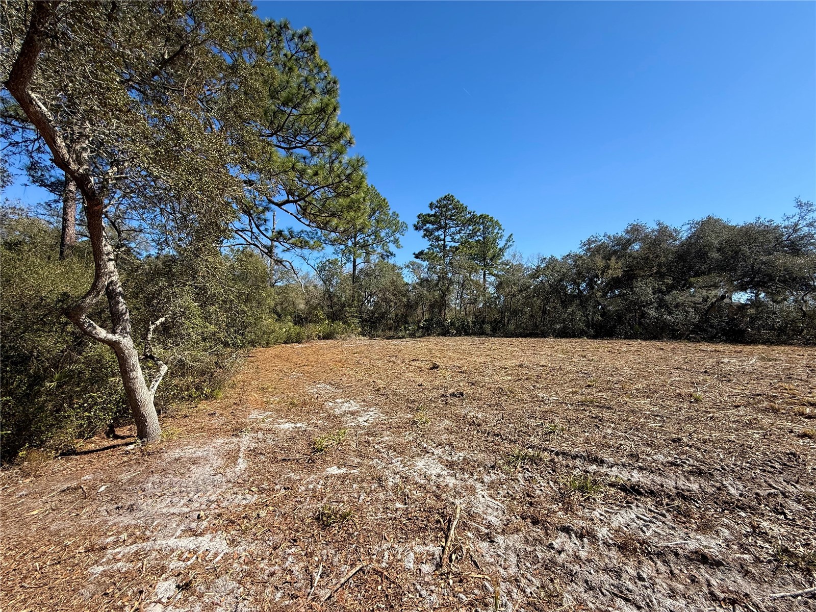 LOT 11 Poinciana Street Eustis FL 32736 - LAKE NORRIS G5108719 image9