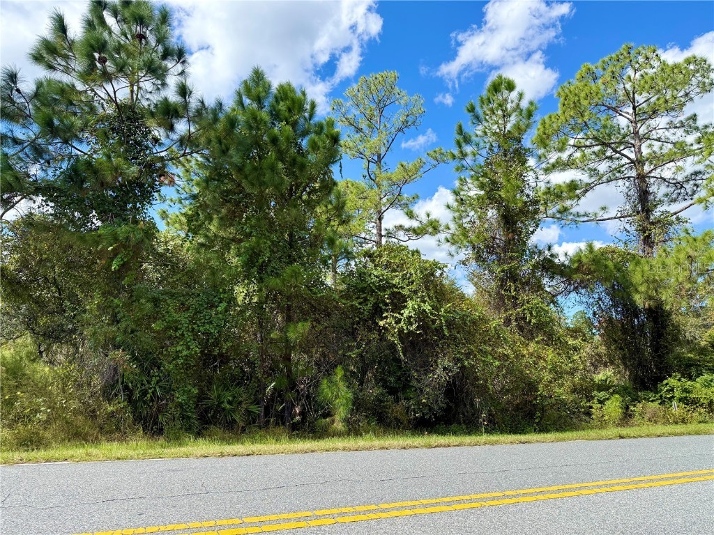 LOT 11 Royal Trails Road Eustis FL 32736 G5103697 image1