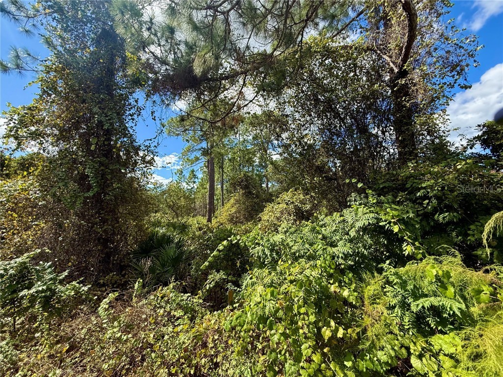 LOT 11 Royal Trails Road Eustis FL 32736 G5103697 image10