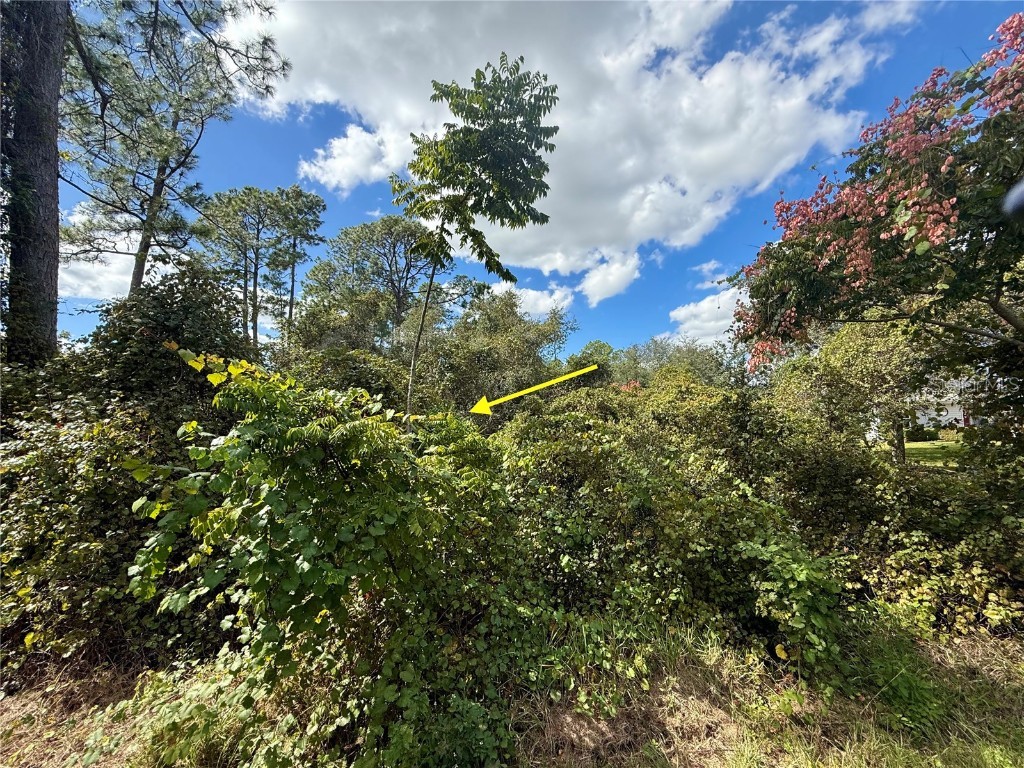 LOT 11 Royal Trails Road Eustis FL 32736 G5103697 image11