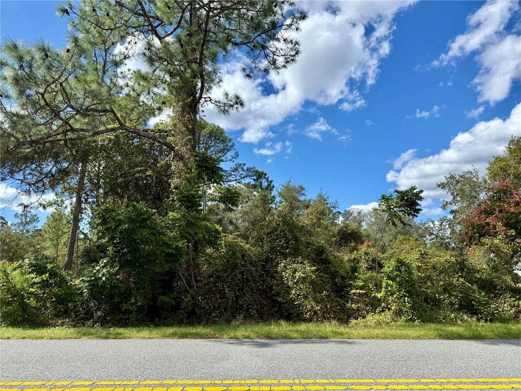LOT 11 Royal Trails Road Eustis FL 32736 G5103697 image2