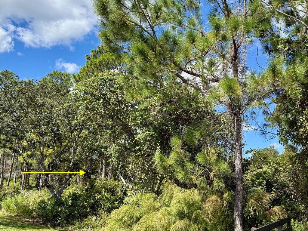 LOT 11 Royal Trails Road Eustis FL 32736 G5103697 image3