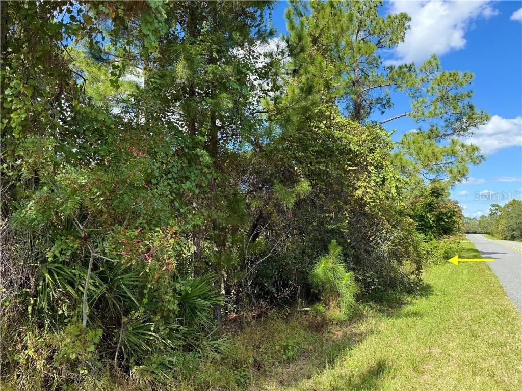 LOT 11 Royal Trails Road Eustis FL 32736 G5103697 image4